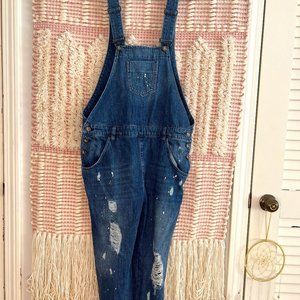 One Teaspoon Hooligan overall